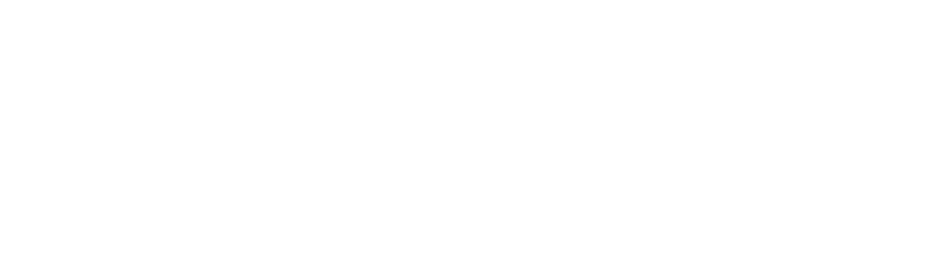 ARTISTS OVER THE ALGORITHM